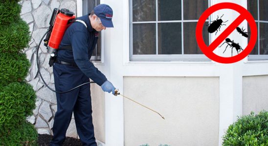 Balıkesir Bit İlaçlama böcek ilaçlama ve haşere kontrolü — ilaclama-tr.com